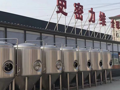 韶关精酿啤酒设备厂—市场规模与跨界新需求